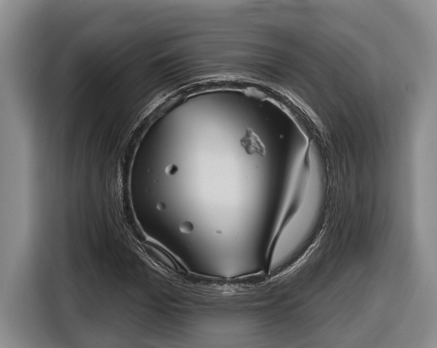 X0000116810969200912241218