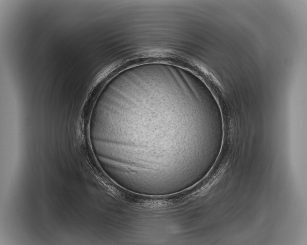 X0000116810970200912241218