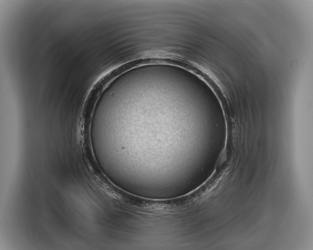 X0000116810971200912241218