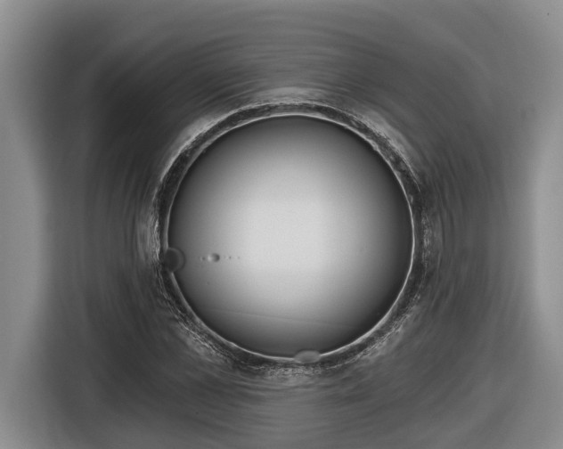 X0000116810973200912241218