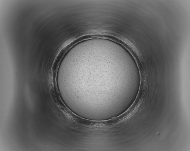 X0000116810974200912241218