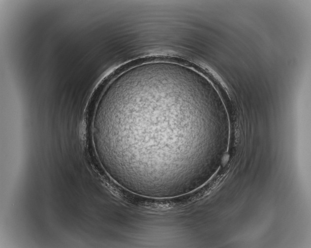 X0000116810975200912241218