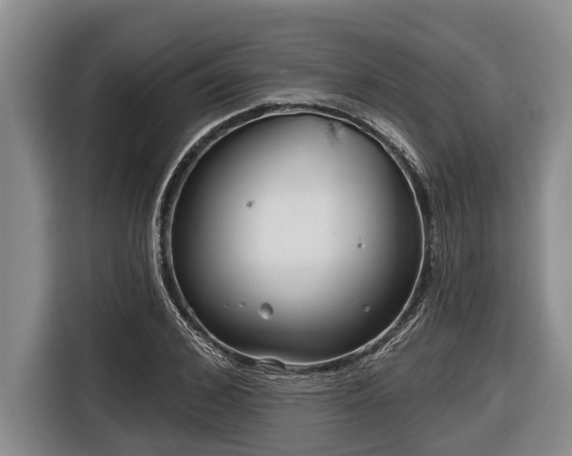 X0000116810976200912241217