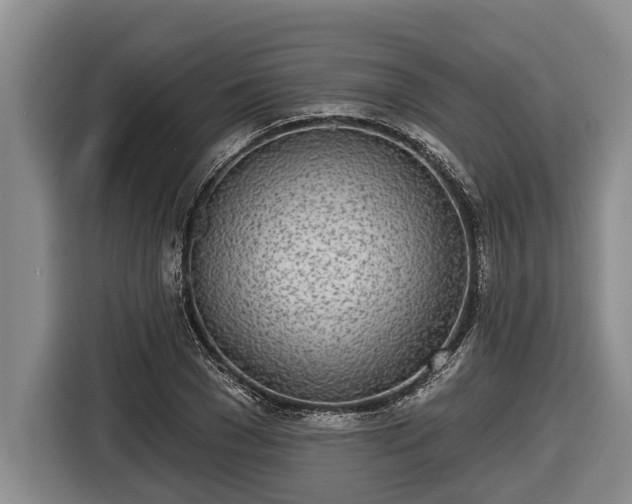 X0000116810977200912241217