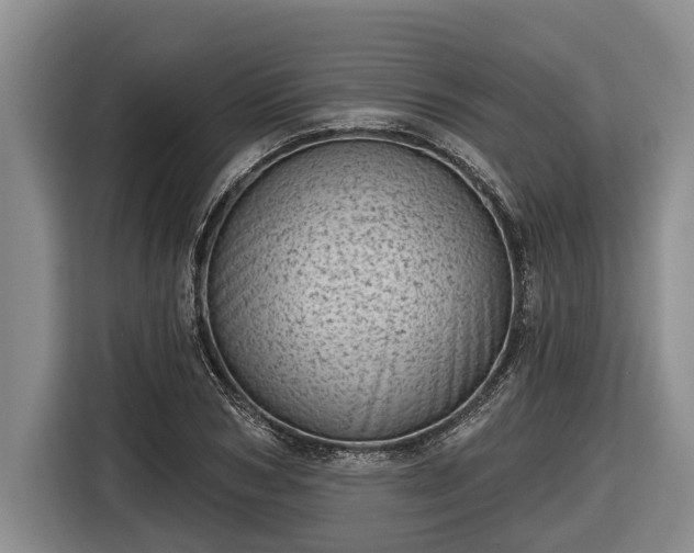 X0000116810978200912241217