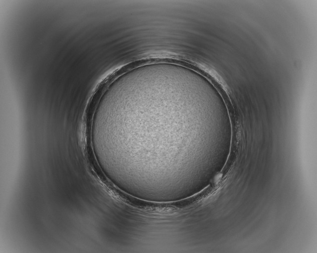 X0000116810979200912241217