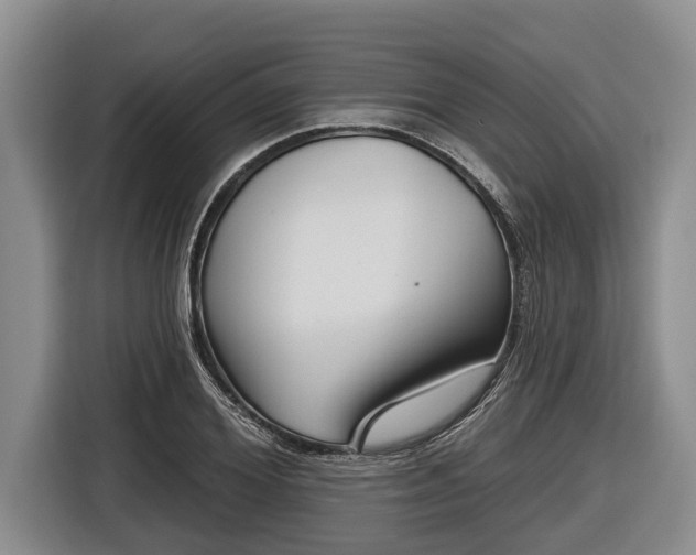 X0000116810980200912241217