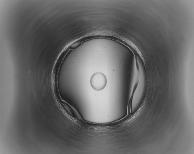 X0000116810981200912241217