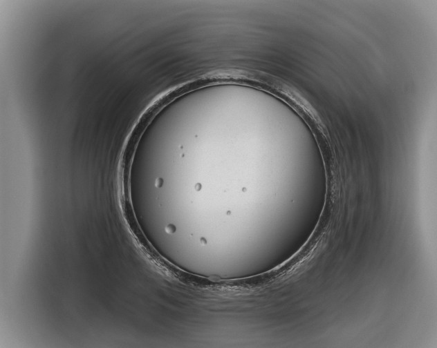 X0000116810984200912241217