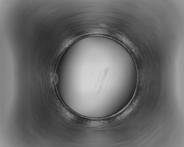 X0000116810985200912241217