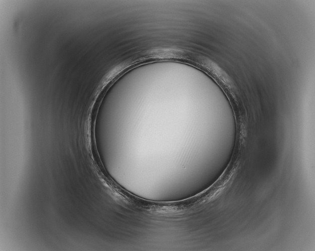 X0000116810986200912241217