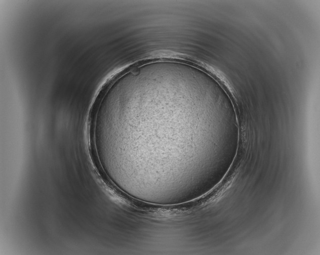 X0000116810987200912241217