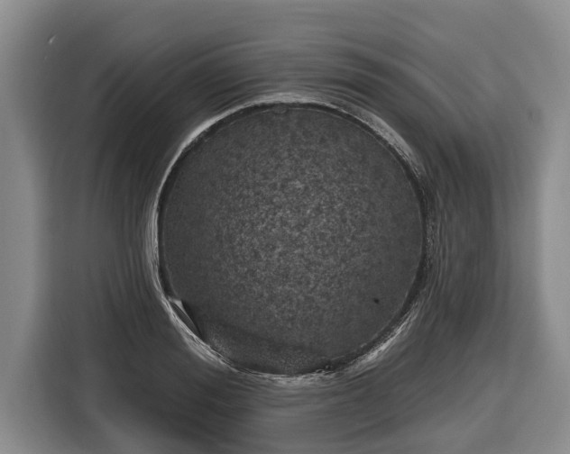 X0000116810988200912241217