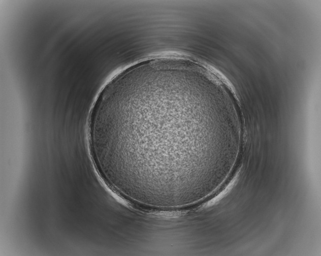 X0000116810989200912241217