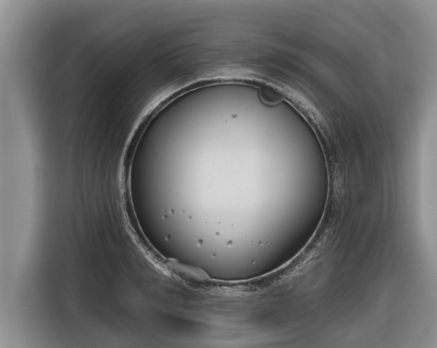 X0000116810990200912241217