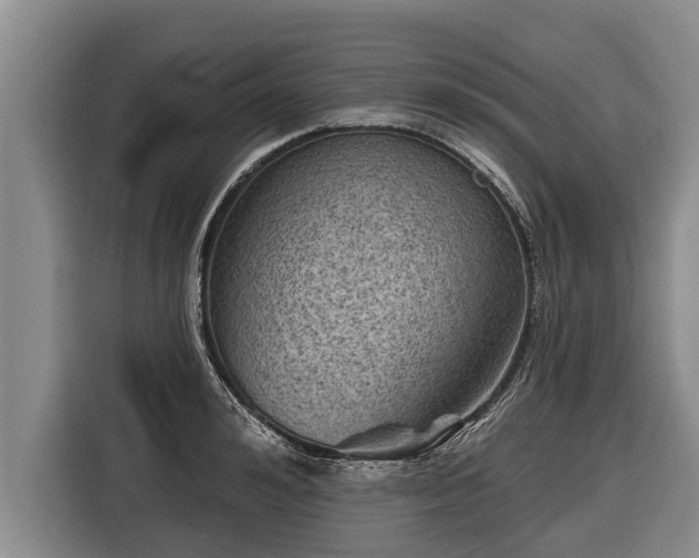 X0000116810992200912241217