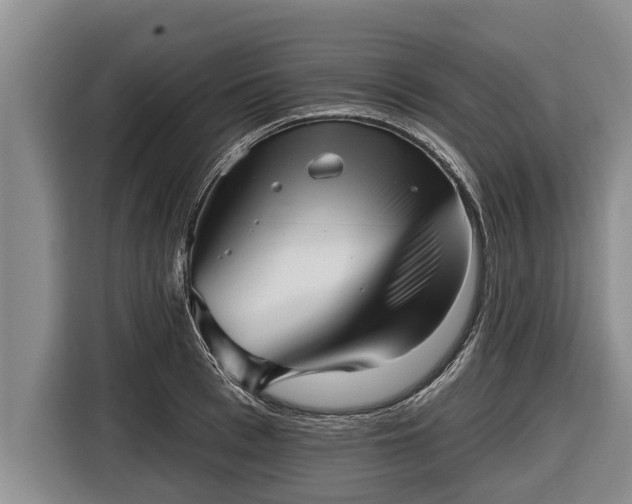 X0000116810993200912241217