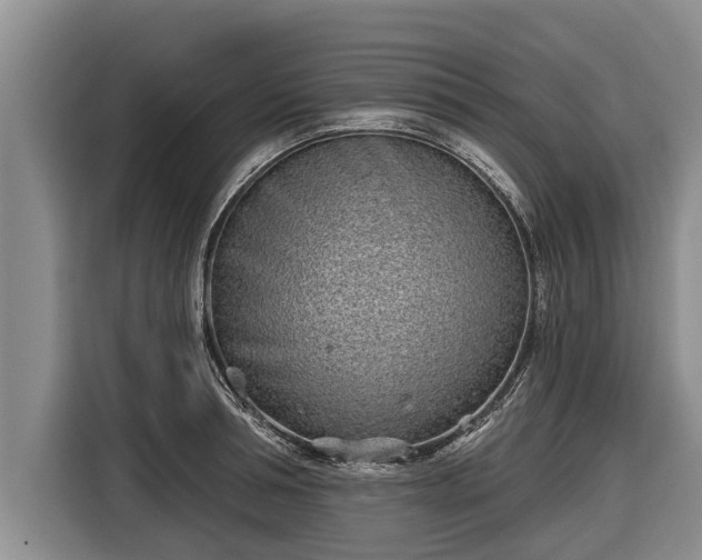 X0000116810994200912241217