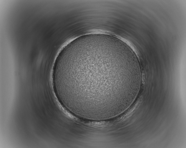 X0000116810995200912241217