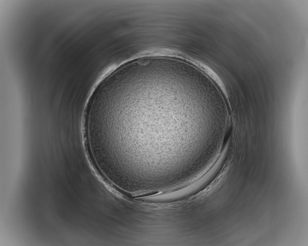 X0000116810997200912241217