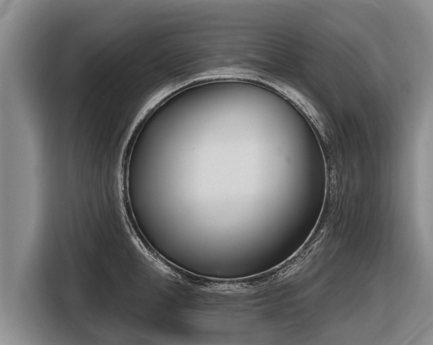 X0000116810998200912241217