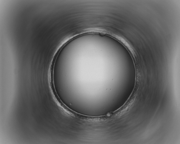 X0000116810999200912241217