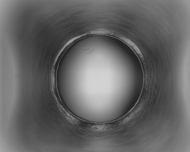 X0000116811000200912241217