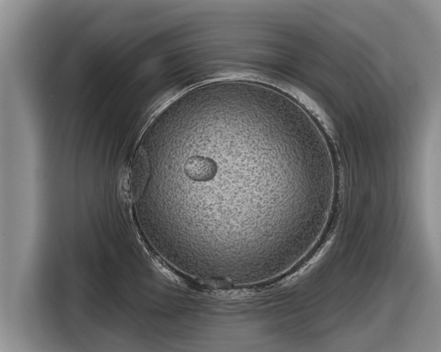 X0000116811001200912241217