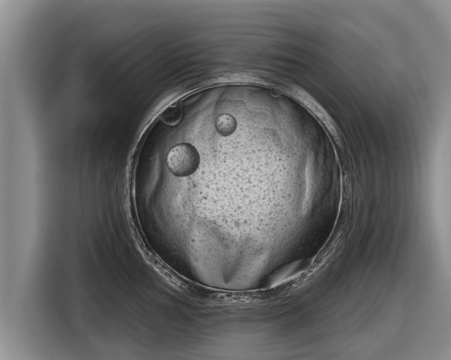 X0000116811002200912241217