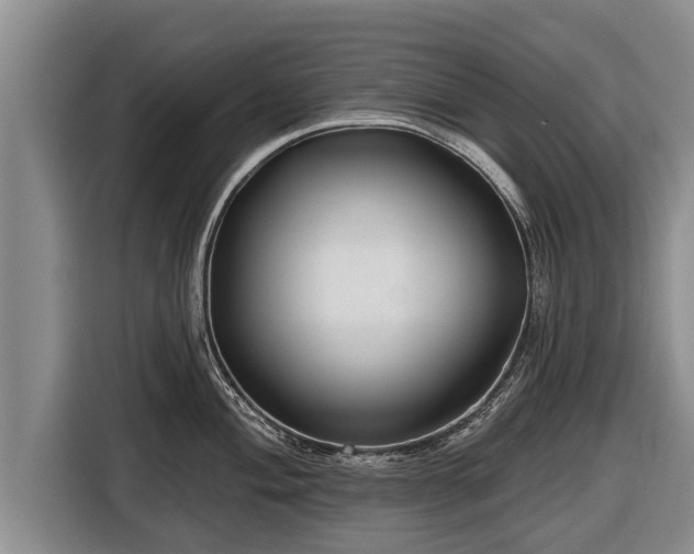 X0000116811004200912241217