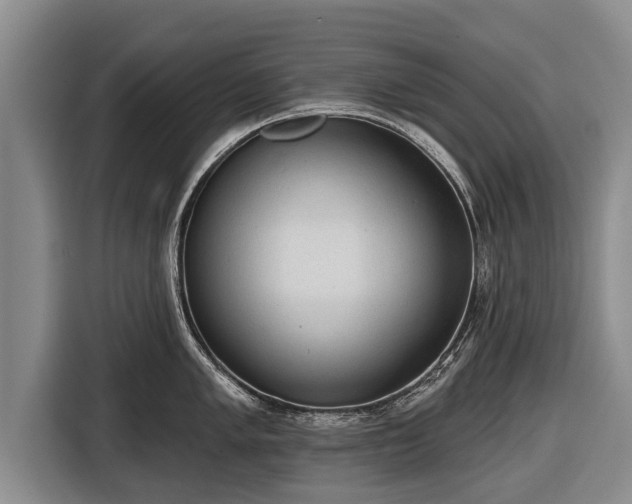 X0000116811005200912241217