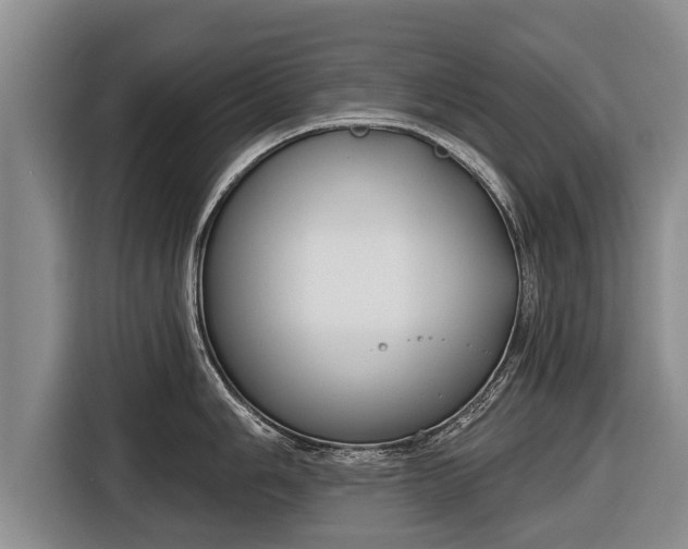 X0000116811006200912241217