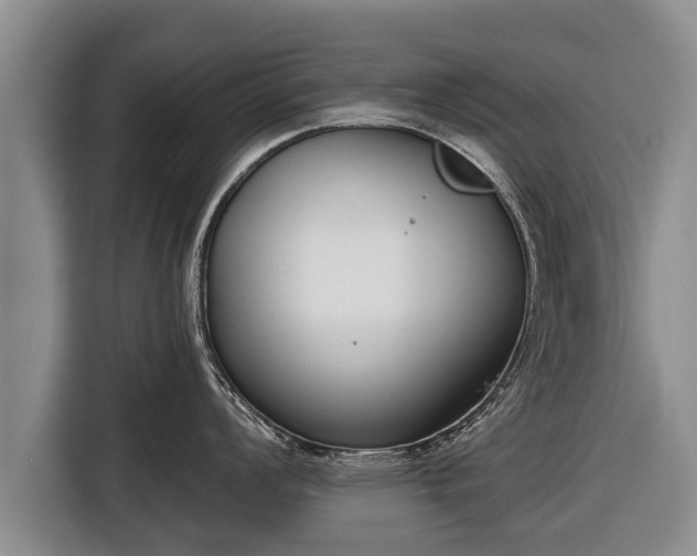 X0000116811008200912241217