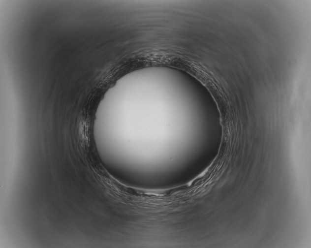 X0000116811010200912241216