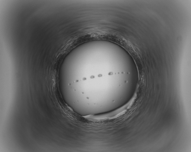 X0000116811012200912241217