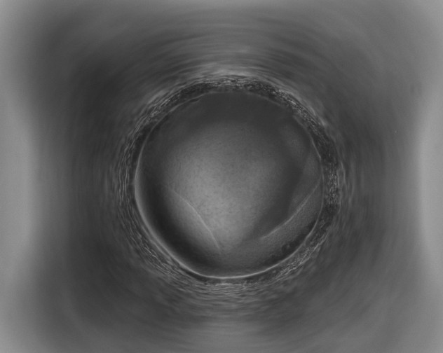 X0000116811013200912241217