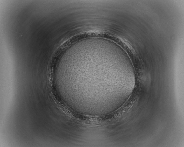 X0000116811015200912241217