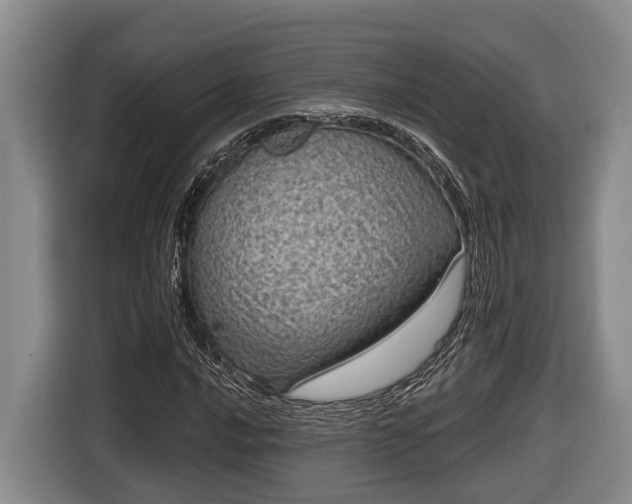 X0000116811016200912241217