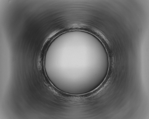 X0000116811018200912241217