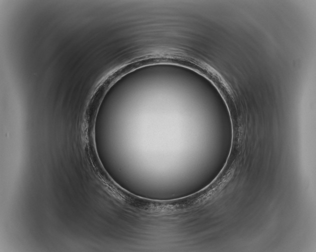 X0000116811019200912241217