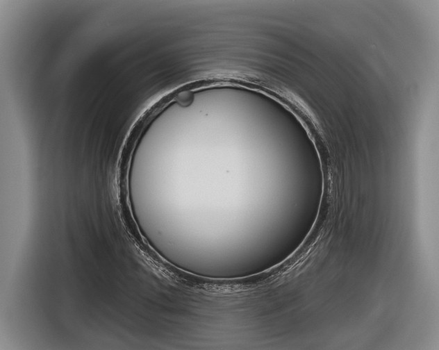 X0000116811020200912241217