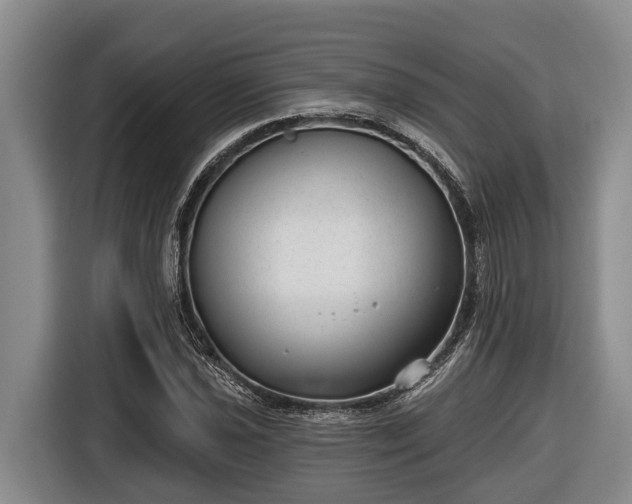 X0000116811021200912241217