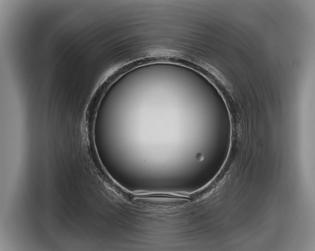 X0000116811022200912241217