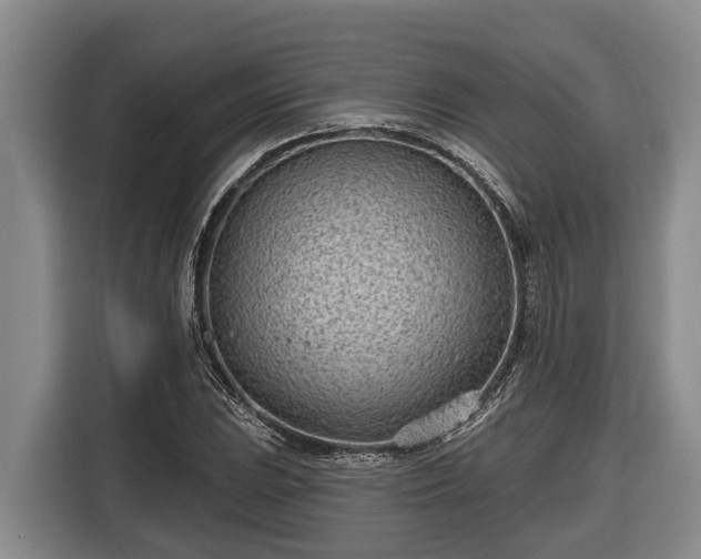 X0000116811023200912241217