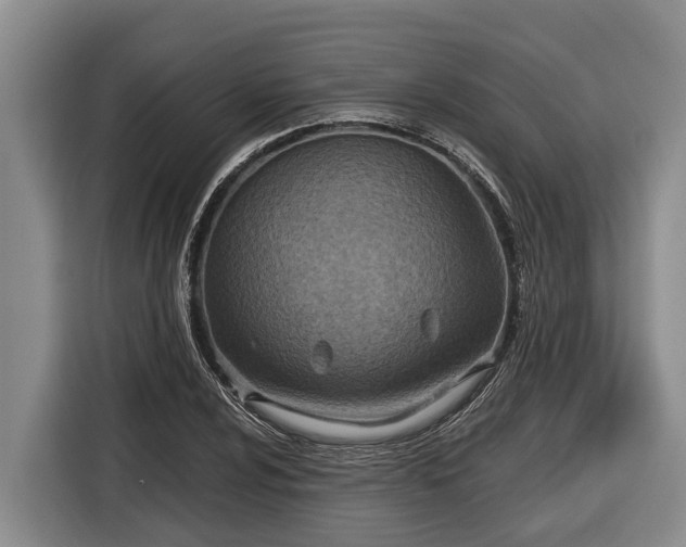 X0000116811024200912241217