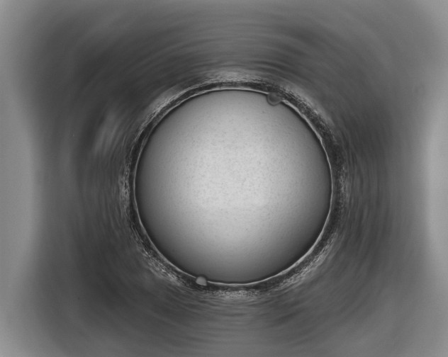 X0000116811025200912241217