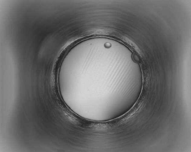 X0000116811027200912241217