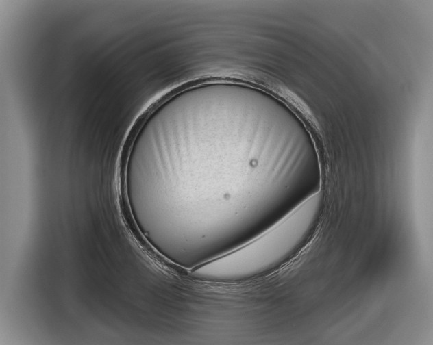 X0000116811028200912241217