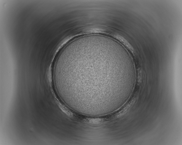 X0000116811031200912241217