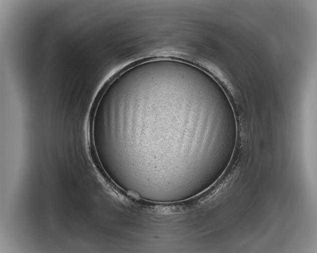 X0000116811032200912241217